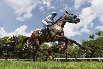 horse racing gdbet333 horse racing gdbet333